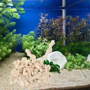 Strainers Baliq Tank Coral Filtri Filtrlash Moddiy Pastki Qum Media Akvarium Ta'minoti Qismlari Aksessuarlar Rasm